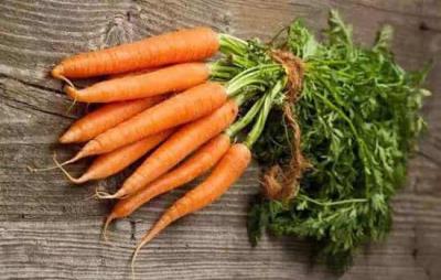 吃胡萝卜能减肥吗,推荐4款胡萝卜减肥食谱 减肥食谱 第1张-瘦瘦减肥网 吃胡萝卜能减肥吗,推荐4款胡萝卜减肥食谱 减肥食谱 第1张