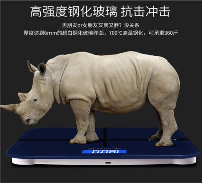 isense体重秤怎么样,isense体重秤全面介绍 减肥 第7张-瘦瘦减肥网 isense体重秤怎么样,isense体重秤全面介绍 减肥 第7张