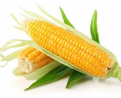 夏季健康减肥食谱大全，教你减肥早餐里的小妙招 减肥食谱 第3张