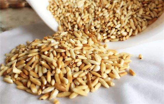 炒米减肥误区，炒米减肥的原理 减肥误区 第3张