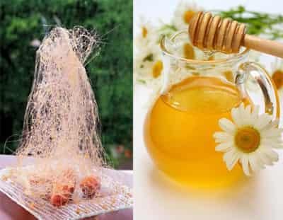 蜂蜜粉丝快速减肥法，懒人甜蜜除赘肉 快速减肥 第1张