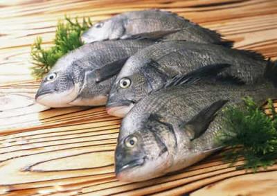 吃什么食物排毒速瘦,无需断食排毒减肥法 节食减肥 第5张-瘦瘦减肥网 吃什么食物排毒速瘦,无需断食排毒减肥法 节食减肥 第5张