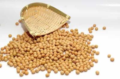 吃什么食物丰胸效果最好，日常简单的丰胸方法 丰胸 第3张