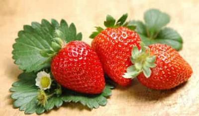 四月不减肥五月徒伤悲,教你如何快速健康减肥 减肥 第1张-瘦瘦减肥网 四月不减肥五月徒伤悲,教你如何快速健康减肥 减肥 第1张