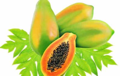 吃木瓜真的可以丰胸吗,莫被“木瓜丰胸说”迷惑了 丰胸 第2张-瘦瘦减肥网 吃木瓜真的可以丰胸吗,莫被“木瓜丰胸说”迷惑了 丰胸 第2张