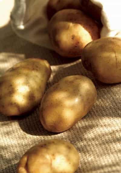 秋季快速减肥方法,教你哪种减肥方法最有效 快速减肥 第4张-瘦瘦减肥网 秋季快速减肥方法,教你哪种减肥方法最有效 快速减肥 第4张