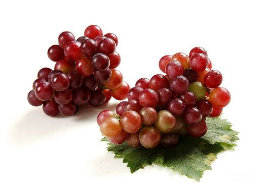 夏季减肥瘦身食谱,七彩达人一周水果变身 减肥食谱 第6张-瘦瘦减肥网 夏季减肥瘦身食谱,七彩达人一周水果变身 减肥食谱 第6张