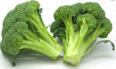 吃什么可以减肥，冬季吃什么可以减肥 饮食减肥 第5张