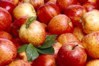 秋季苹果减肥方法最有效,减肥食谱一周瘦10斤 减肥食谱 第6张-瘦瘦减肥网 秋季苹果减肥方法最有效,减肥食谱一周瘦10斤 减肥食谱 第6张