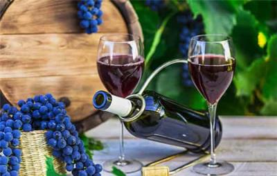 健身能不能喝酒,健身期间喝酒会前功尽弃吗 减肥 第2张-瘦瘦减肥网 健身能不能喝酒,健身期间喝酒会前功尽弃吗 减肥 第2张