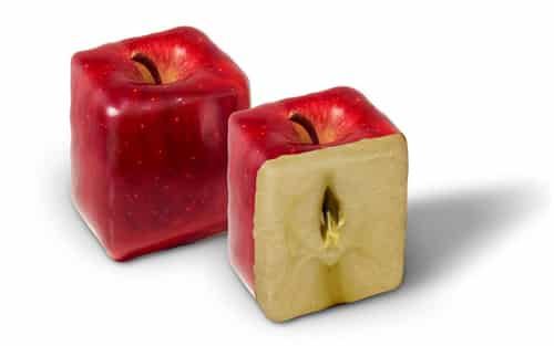 最有效的减肥食谱,夏季节食速效窈窕瘦身 减肥食谱 第9张-瘦瘦减肥网 最有效的减肥食谱,夏季节食速效窈窕瘦身 减肥食谱 第9张