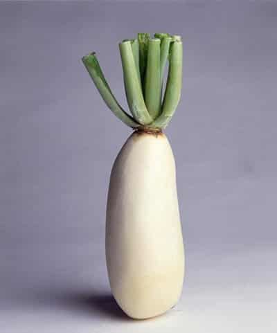 瘦身水果沙拉蔬菜汁,身体部位减肥瘦瘦瘦 减肥 第2张-瘦瘦减肥网 瘦身水果沙拉蔬菜汁,身体部位减肥瘦瘦瘦 减肥 第2张