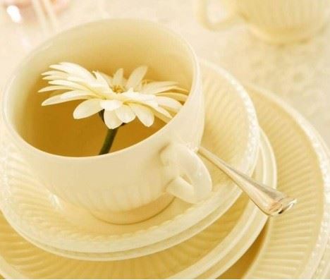 最安全健康的轻松减肥方法，自制8款瘦身茶让你这个夏天瘦翻天 减肥饮品 第1张