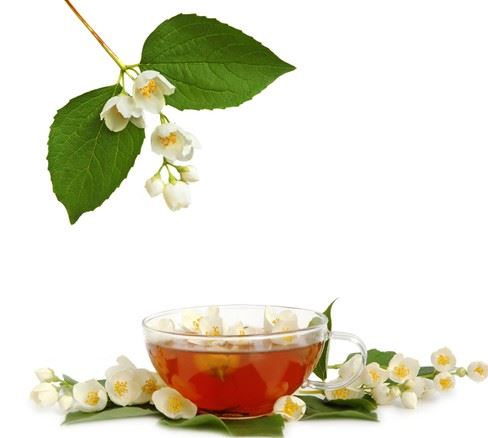 最安全健康的轻松减肥方法，自制8款瘦身茶让你这个夏天瘦翻天 减肥饮品 第4张