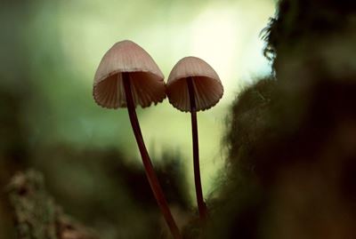 营养减肥早餐食谱搭配，快速健康科学瘦身甩脂 减肥食谱 第3张