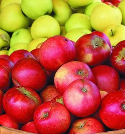 不可思议三天苹果减肥法,快速一周瘦五斤 减肥方法 第1张-瘦瘦减肥网 不可思议三天苹果减肥法,快速一周瘦五斤 减肥方法 第1张