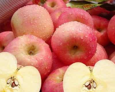 揭穿网上减肥水果法骗局 减肥水果 第1张-瘦瘦减肥网 揭穿网上减肥水果法骗局 减肥水果 第1张