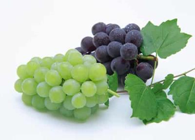 狂吃不胖的营养减肥甩脂食物有哪些 饮食减肥 第6张-瘦瘦减肥网 狂吃不胖的营养减肥甩脂食物有哪些 饮食减肥 第6张