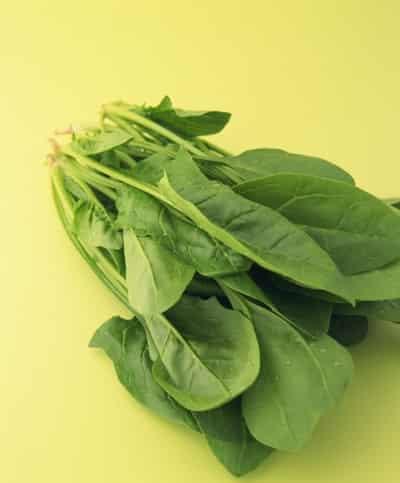 初秋吃什么蔬菜瘦脸最快最有效,甩掉包子脸的方法 瘦脸 第3张-瘦瘦减肥网 初秋吃什么蔬菜瘦脸最快最有效,甩掉包子脸的方法 瘦脸 第3张