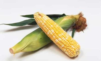 狂吃不胖的营养减肥甩脂食物有哪些 饮食减肥 第8张-瘦瘦减肥网 狂吃不胖的营养减肥甩脂食物有哪些 饮食减肥 第8张