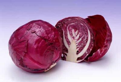 狂吃不胖的营养减肥甩脂食物有哪些 饮食减肥 第4张-瘦瘦减肥网 狂吃不胖的营养减肥甩脂食物有哪些 饮食减肥 第4张