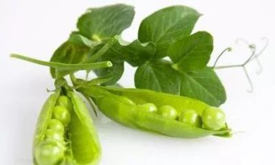 怎么吃米饭不会长胖，吃米饭不胖反瘦的方法 饮食减肥 第5张