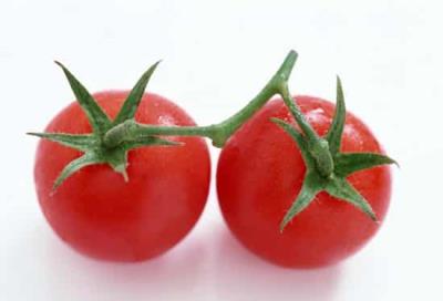 减肥期间,有什么不能空腹吃的水果 饮食减肥 第1张-瘦瘦减肥网 减肥期间,有什么不能空腹吃的水果 饮食减肥 第1张