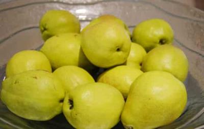 梨子的热量，减肥吃梨好还是苹果好 饮食减肥 第1张