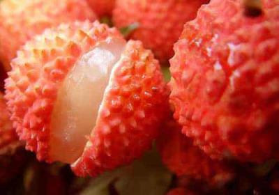 减肥期间,有什么不能空腹吃的水果 饮食减肥 第3张-瘦瘦减肥网 减肥期间,有什么不能空腹吃的水果 饮食减肥 第3张