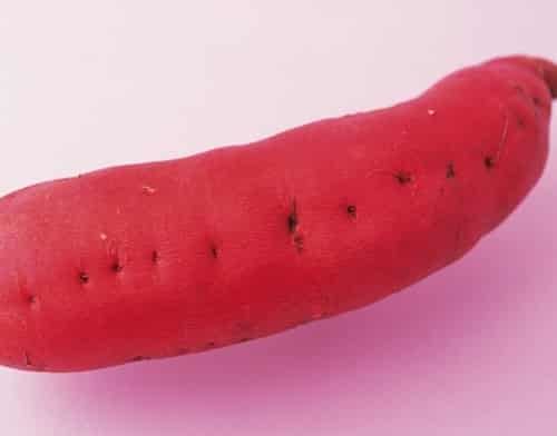 吃什么减肥最快,瘦身DIY吃红薯减肥法 饮食减肥 第1张-瘦瘦减肥网 吃什么减肥最快,瘦身DIY吃红薯减肥法 饮食减肥 第1张