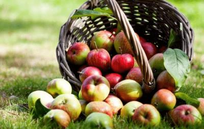 晚饭怎么吃健康又减肥，教你轻松吃出小蛮腰 瘦腰 第1张