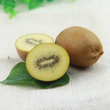 黄金果猕猴桃的热量(奇异果黄金果怎么剥) 减肥 第1张