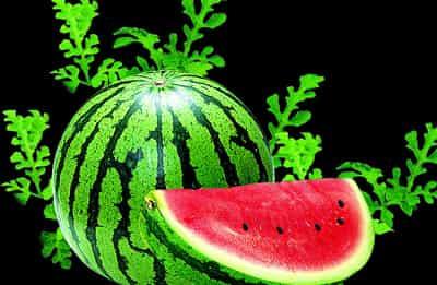 健康减肥吃出好身材,荐超级有效减肥食品 饮食减肥 第4张-瘦瘦减肥网 健康减肥吃出好身材,荐超级有效减肥食品 饮食减肥 第4张