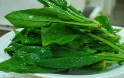 健康减肥吃出好身材,荐超级有效减肥食品 饮食减肥 第3张-瘦瘦减肥网 健康减肥吃出好身材,荐超级有效减肥食品 饮食减肥 第3张