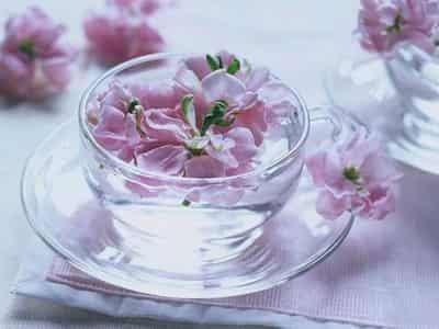 冬季DIY消脂减肥茶，胖妹子的贴心“闺蜜” 减肥饮品 第1张