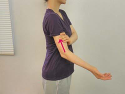 手臂减肥的最快方法,快速瘦手臂告别蝴蝶袖 瘦手臂 第3张-瘦瘦减肥网 手臂减肥的最快方法,快速瘦手臂告别蝴蝶袖 瘦手臂 第3张