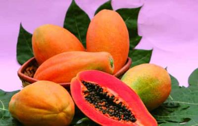 喝豆浆可以丰胸吗，豆浆减肥但并不丰胸 丰胸 第1张