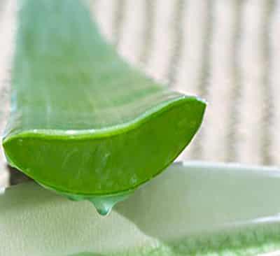 健康饮食减肥法:最有效的芦荟排毒减肥食谱 减肥食谱 第5张-瘦瘦减肥网 健康饮食减肥法:最有效的芦荟排毒减肥食谱 减肥食谱 第5张