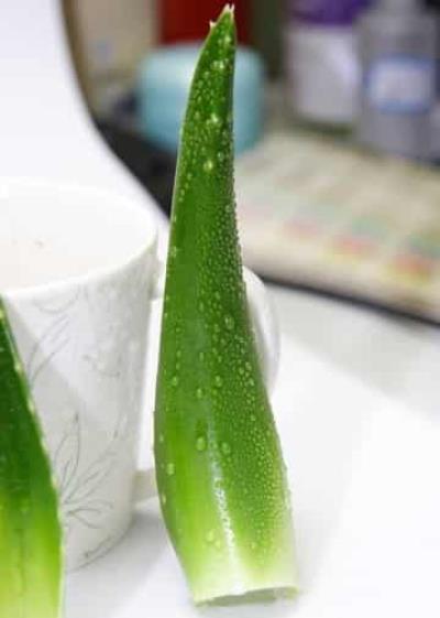 健康饮食减肥法:最有效的芦荟排毒减肥食谱 减肥食谱 第4张-瘦瘦减肥网 健康饮食减肥法:最有效的芦荟排毒减肥食谱 减肥食谱 第4张