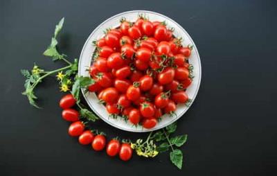 吃圣女果可以减肥吗，圣女果的5大减肥优势你可知 饮食减肥 第3张