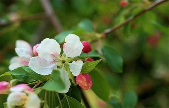 为什么有人吃不胖,因为掌握了减肥黄金时间 饮食减肥 第1张-瘦瘦减肥网 为什么有人吃不胖,因为掌握了减肥黄金时间 饮食减肥 第1张