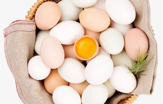 运动减肥晚上可以吃鸡蛋清吗,每天只吃鸡蛋能减肥吗 运动减肥 第2张-瘦瘦减肥网 运动减肥晚上可以吃鸡蛋清吗,每天只吃鸡蛋能减肥吗 运动减肥 第2张