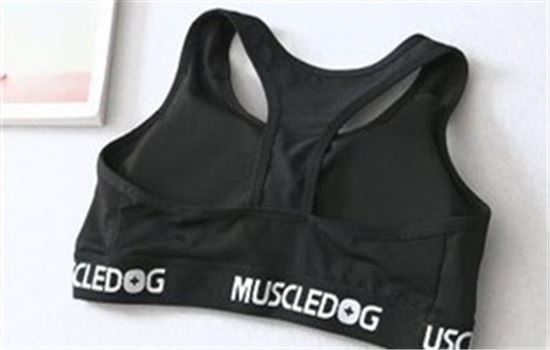 usapro运动内衣什么牌子，运动内衣如何选择 运动减肥 第2张