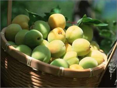 水果减肥法：什么时候吃水果减肥最快 减肥水果 第3张