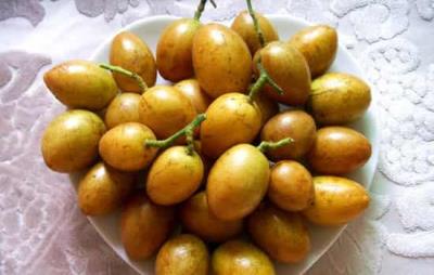 吃黄皮果会胖吗,注意适量吃即可 饮食减肥 第1张-瘦瘦减肥网 吃黄皮果会胖吗,注意适量吃即可 饮食减肥 第1张