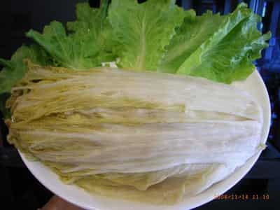 夏季健康减肥瘦身食谱,轻松减出你的曲线身形 减肥食谱 第2张-瘦瘦减肥网 夏季健康减肥瘦身食谱,轻松减出你的曲线身形 减肥食谱 第2张