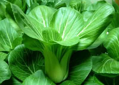 生吃蔬菜减肥瘦身法，超有效的科学甩脂法 减肥蔬菜 第5张