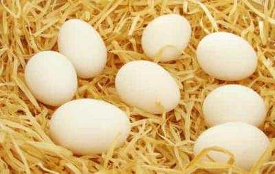 一周快速鸡蛋减肥法，神奇减肥食谱速瘦10斤不是梦 减肥食谱 第1张