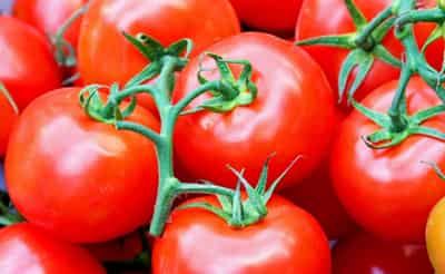 番茄加醋减肥瘦身法,3个月甩去赘肉34斤 减肥 第4张-瘦瘦减肥网 番茄加醋减肥瘦身法,3个月甩去赘肉34斤 减肥 第4张