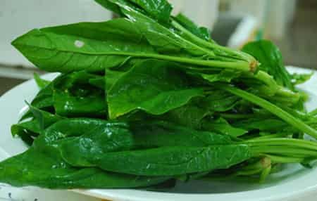 健康减肥吃出好身材，荐超级有效瘦身食品 饮食减肥 第3张